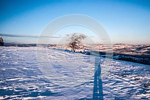 Winter morning on Ochodzita hill above Koniakow village in Beskid Slaski mountains in Poland photo