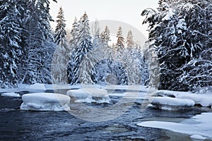 winter morning on river in Sweden