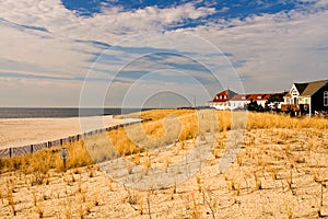 Winter Morning at the Shore
