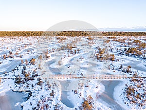 Winter morning sunrise in Endla Bog.