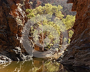 a winter morning view of serpentine gorge in tjoritja - west macdonnell national park of the northern territory