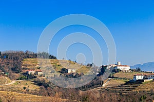 Winter morning in the vineyards of Collio, Italy