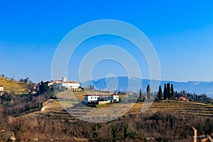 Winter morning in the vineyards of Collio, Italy