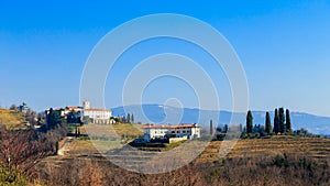 Winter morning in the vineyards of Collio, Italy