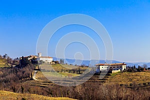 Winter morning in the vineyards of Collio, Italy