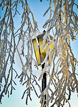 Boulevard at sunrise.