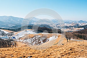 Winter mountain at Daegwallyeong sheep ranch in Pyeongchang, Korea