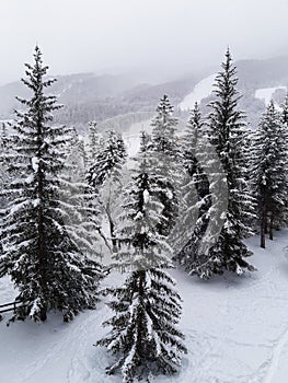 Winter mountain in french alps landscape with Forest trees covered with white fresh snow