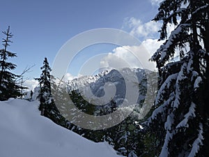 Winter mountain hiking to Ochsensitz mountain, Bavaria, Germany photo
