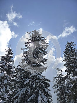 Winter mountain hiking to Ochsensitz mountain, Bavaria, Germany photo