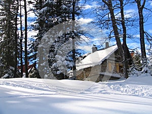 Winter mountain house and forest