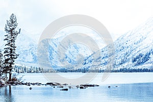 Winter mountain lake with snow-covered pine trees on the shore.