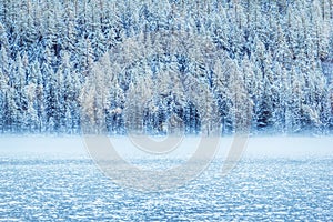 Winter mountain lake with snow-covered pine trees on the shore.