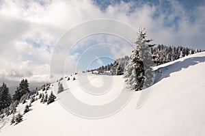 Winter mountain landscape