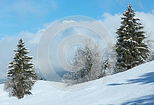 Winter mountain landscape (Austria, Bavaria).