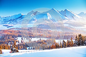 Winter mountain landscape. Clear blue sky over snowy mountain peaks in a frosty morning. Winter sunrise in the mountains.