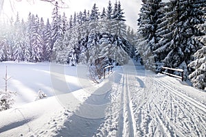 Winter mountain landscape with cross country skiing trails