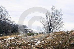 Winter mountain landscape on the edge of the abyss