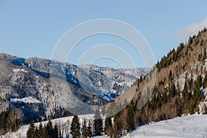 Winter mountain landscape. Georgia. Gomarduli