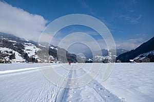 Winter mountain landscape with groomed cross-country trails