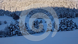 Winter mountain landscape, nature reserve of the Vercors high plateaux, France