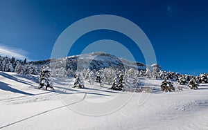Winter mountain landscape, nature reserve of the Vercors high plateaux, France