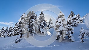 Winter mountain landscape, nature reserve of the Vercors high plateaux, France