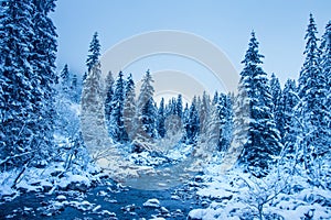 Winter mountain landscape with river. Beautiful snowy nature at Christmas time