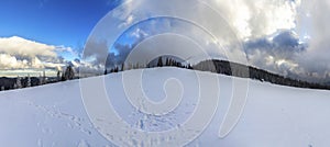 Winter mountain landscape with snow covered pine trees and low c