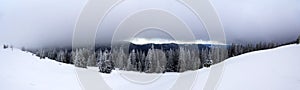 Winter mountain landscape with snow covered pine trees and low c