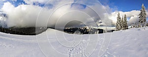 Winter mountain landscape with snow covered pine trees and low c