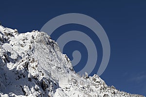 Winter mountain landscape with snow-covered trees