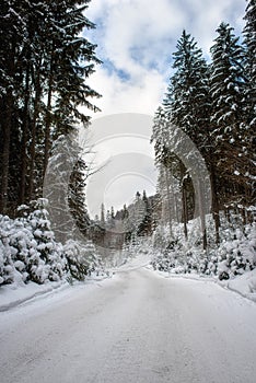 Winter mountain landscape with snowy forest road, outdoor travel and transportation background