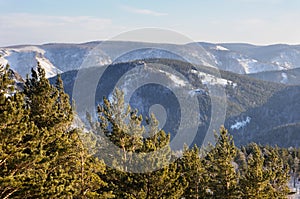 Winter mountain landscape with snowy mountains covered with pine tree forest during sunset