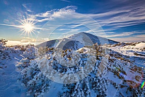 Winter mountain landscape with with snowy scrub