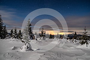 Winter mountain landscape. Snowy trees under sky at night in Smrekovica, Slovakia