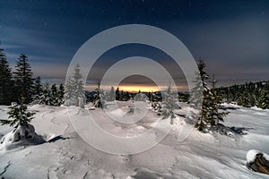 Winter mountain landscape. Snowy trees under sky at night in Smrekovica, Slovakia