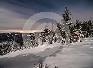 Winter mountain landscape. Snowy trees under sky at night in Smrekovica, Slovakia