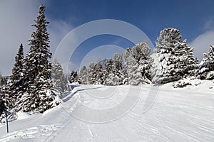 Zimná horská krajina. Štrbské Pleso. Slovensko.