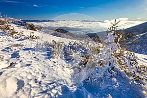 Winter mountain landscape at a sunny day with fog in the valleys