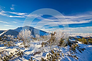 Winter mountain landscape at a sunny day with fog in the valleys