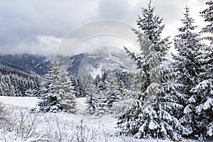 Winter mountain landscape in Tatras. Slovakia.