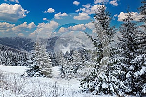 Zimní horská krajina v Tatrách. Slovensko