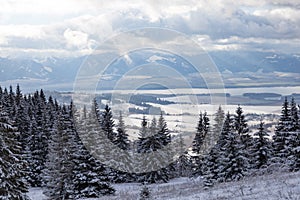 Winter mountain landscape in Tatras. Slovakia.