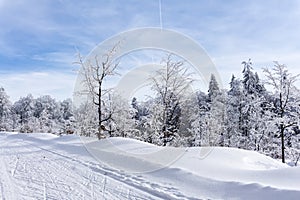 Zimní horská krajina. Stezka na běžecké lyžování na horské silnici, stromy pokryté jinovatkou a sněhem.