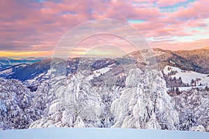 Winter mountain landscape. Winter sunrise with vivid red pink sky.
