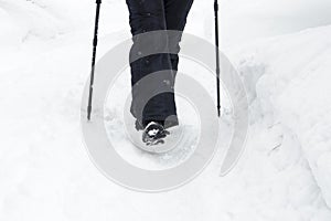 Winter mountain nordic walking accesories