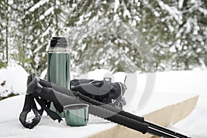 Winter mountain nordic walking accesories