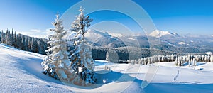 Winter mountain panorama