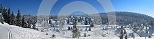 Winter mountain panorama